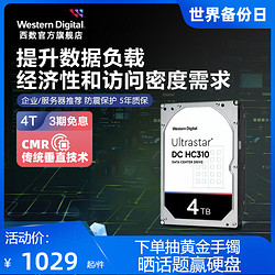 Western Digital 西部数据 Ultrastar DC系列 3.5英寸 企业级硬盘 4TB (CMR、7200rpm、256MB) HUS726T4TALE6L4