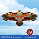 森林龙 红色老鹰风筝 1.8米+150米红轮