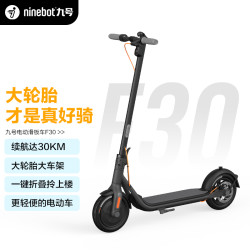 Ninebot 九号 F30 电动滑板车