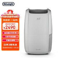 De'Longhi 德龙 Delonghi）除湿机 抽湿量25升/天 家用地下室多场景 干衣吸湿器 DDSX225