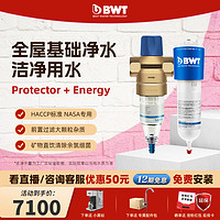 BWT 倍世 净水器前置过滤器家用自来水大流量Protector+Energy套餐