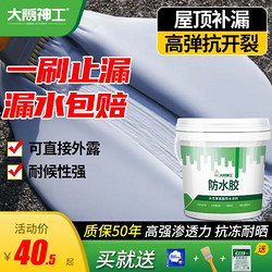 大禹神工 屋顶防水涂料胶补漏材料楼顶房顶外墙裂缝堵漏王聚氨酯防漏水泥 4斤/水泥灰