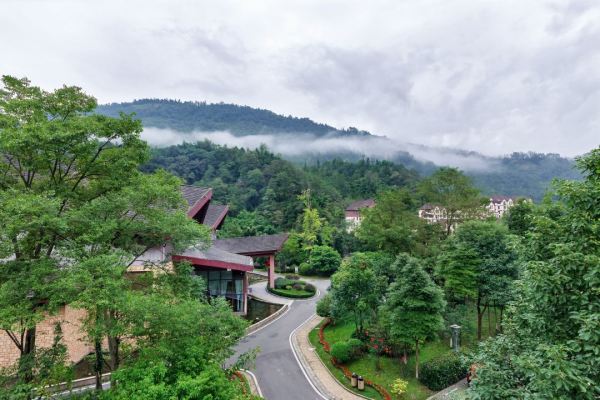 观景+吸氧+泡温泉!成都出发1.5小时!成都大邑中铁花水湾温泉酒店 森里双床房/雅致山景大床房1晚(含双早+双人温泉体验等)