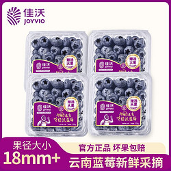 JOYVIO 佳沃 云南18mm+超大果径蓝莓125g*4盒超大果当季水果