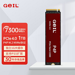 GeIL 金邦 PICE4.0 固态硬盘 1TB