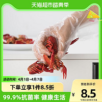 CHAHUA 茶花 一次性抗菌塑料食品餐饮透明龙虾手套80只卫生安全不易破漏