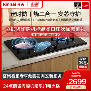 Rinnai 林内 安芯系列 RB-2WLGM 燃气灶 天然气