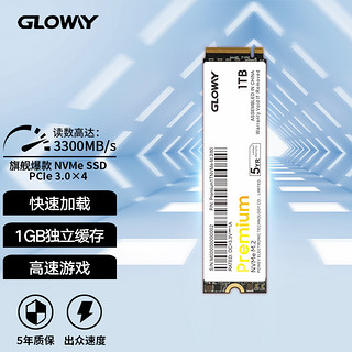 GLOWAY 光威 GW 光威 Premium 高级版 NVMe M.2 固态硬盘 1TB (PCI-E3.0)