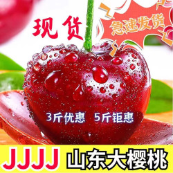 鲜级佳山东美早大樱桃32-34mm  4J级 樱桃 5斤礼盒装