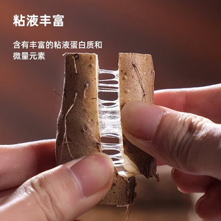 怀涛 焦作温县垆土铁棍山药淮山药新鲜怀山药河南特产5斤装