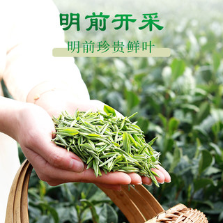  文新 春茶上市文新信阳毛尖茶叶绿茶2023新茶明前嫩芽纸包（1500）250g
