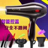 未来家 家用大小功率吹风机发廊学生宿舍 冷热风恒温护发电吹风筒