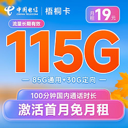 CHINA TELECOM 中国电信 梧桐卡 19元月租（115G全国流量+100分钟）流量长期 激活赠送30元