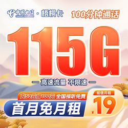 CHINA TELECOM 中国电信 梧桐卡 19元月租（115G全国流量+100分钟通话）送30话费 接听免费