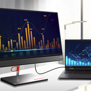 Lenovo 联想 ThinkCentre neo A600 十三代酷睿版 23.8英寸 一体机