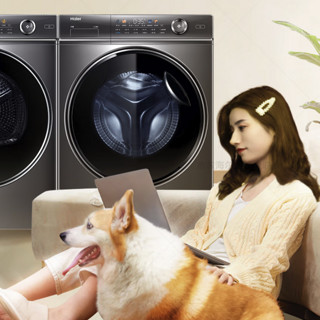 Haier 海尔 精华洗系列 XQG100-BD14326L+HG100-326 热泵式洗烘套装 10kg