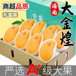 鹿唛  海南金煌芒礼盒装 8斤   6个至8个