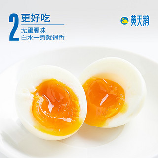 黄天鹅 X蛋黄哥可生食鸡蛋 30枚