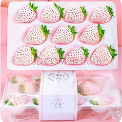 花芊茗  淡雪草莓 1斤礼盒装