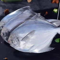 国产新鲜 鲜活速冻银鲳鱼 6斤