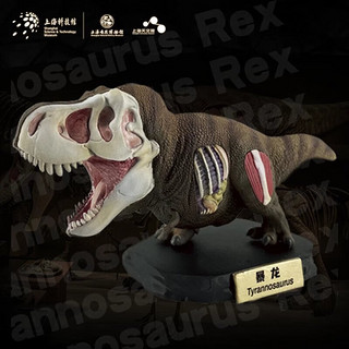 Animal Planet 动物星球 X 上海自然博物馆 暴龙 恐龙模型