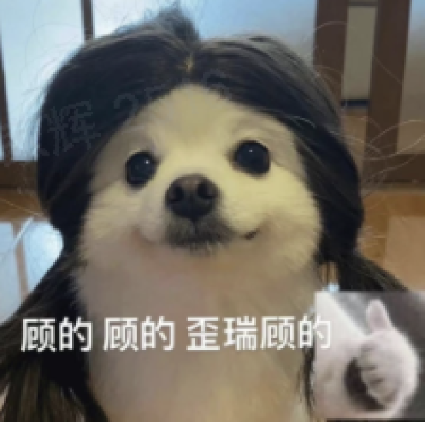 追风追自由，迪卡侬助力开启“露营+骑行”式的春日趣野~