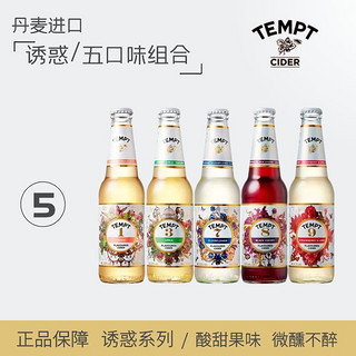 TEMPT 诱惑 7号330ml*5瓶水果味丹麦女生微醺精酿啤酒组合