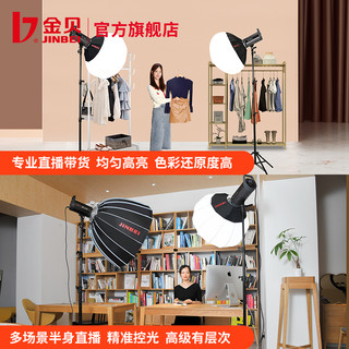 金贝 JINBEI EF220W LED摄影灯直播柔光灯视频摄像灯摄影棚人像静物拍照补光灯太阳灯淘宝直播间常亮灯影视打光灯 A套 EF220单灯套 65CM柔光球