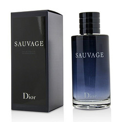 Dior 迪奥 旷野男士淡香水 EDT