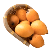 四川米易枇杷大果 3斤装