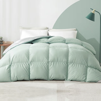 YANXUAN 网易严选 大朵白鹅绒冬被 湖绿+灰 150*200cm
