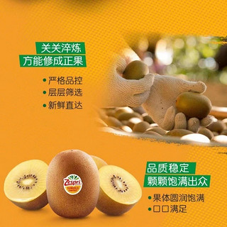 Zespri 佳沛 新西兰 金果 黄心进口奇异果 礼盒 16枚特大果 单果135- 145g