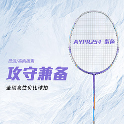 LI-NING 李宁 男女入门进阶训练羽拍 已穿线 AYPR254