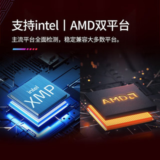 ADATA 威刚 XPG系列 威龙D35 DDR4 3600MHz 台式机内存 马甲条 黑色 16GB 8GB*2