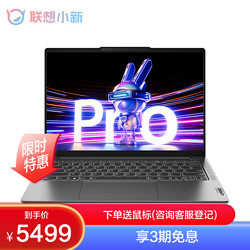 Lenovo 联想 [2023新品]联想小新Pro14超能本2023酷睿版 14英寸轻薄笔记本电脑  鸽子灰