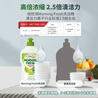 morningfresh MORNING FRESH 澳洲Morning Fresh加信氏进口洗洁精厨房餐具洗涤剂安全青柠3瓶