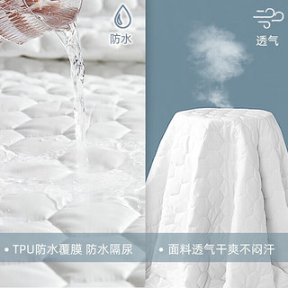 southbedding 南方寝饰 A类抗菌防水全棉保护套 180*200cm