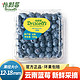 怡颗莓 云南蓝莓 当季水果中果125g/盒