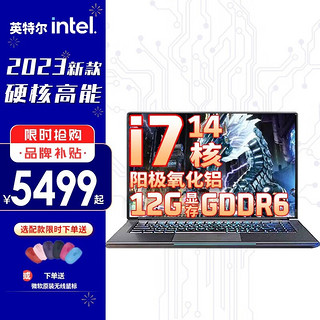 intel 英特尔 X15Arc 12G独显笔记本电脑游戏本 16G内存+512G固态 酷睿i7-12700H｜14核20线程