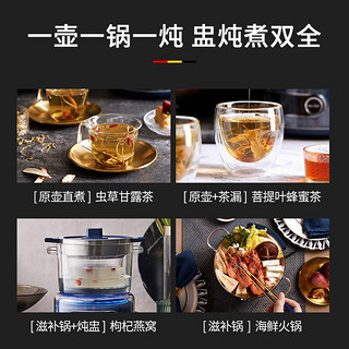 CASO PRODESIGN 卡梭 德国IH养生壶家用煮茶器多功能煮茶壶电水壶烧水壶1.6L配炖盅滋补锅