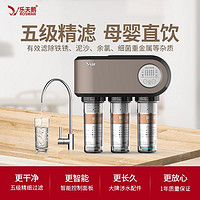 ROSWAN 乐天鹅 DIY乐天鹅净水器家用直饮自来水过滤器厨房净化器