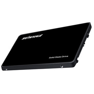 SEIWHALE 枭鲸 Z700系列 SATA 固态硬盘