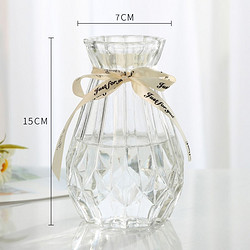 创意玻璃花瓶 15CM 透明1个装