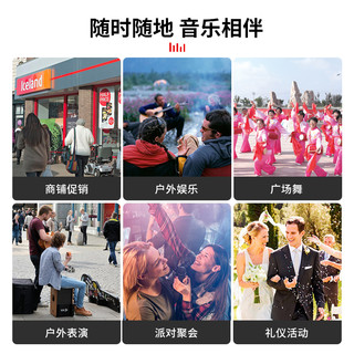 爱国者S59双咪版广场舞音响户外手提便携式蓝牙小音箱K歌家用唱歌店铺收款大音量