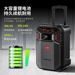 爱国者S59双咪版广场舞音响户外手提便携式蓝牙小音箱K歌家用唱歌店铺收款大音量