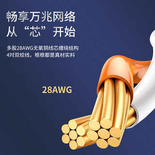 千天(Qantop)七类万兆网线双屏蔽成品跳线cat7网络线宽带线 1米 QT-WZ95Z