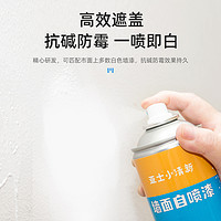 ASIA PAINT 亚士漆 墙面修复自喷漆 700ml