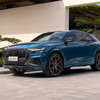 Audi 奥迪 Q8 23款 45 TFSI quattro 豪华动感型