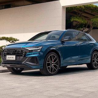 Audi 奥迪 Q8 23款 55 TFSI quattro 豪华动感型