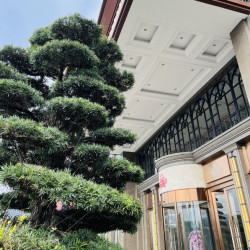 单晚不到200元，周末不加价！佛山帝恩酒店(西樵山店) 豪华双床房2晚套餐（含双早+桑拿汗蒸券2份，可拆分用）